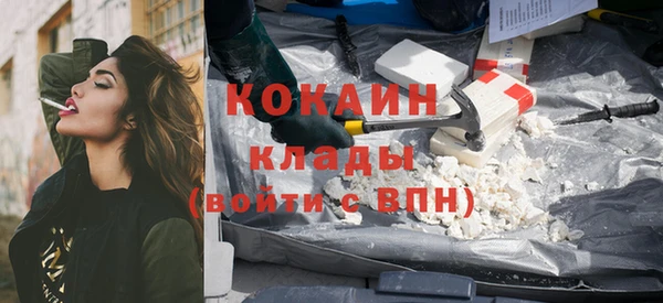 шишки Балахна