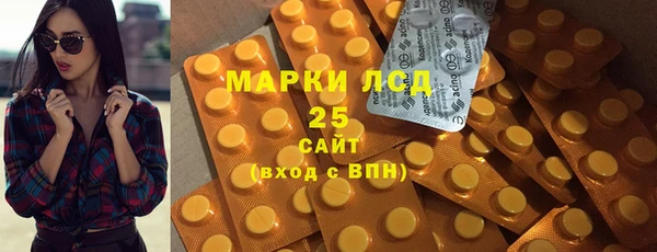 шишки Балахна