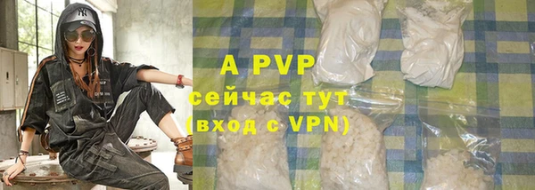шишки Балахна