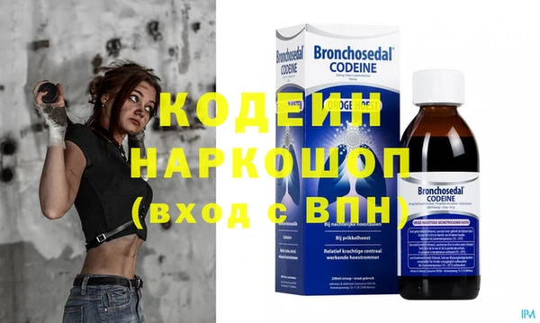 молекула духа Арсеньев