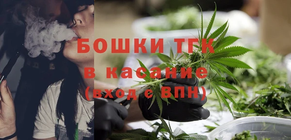 шишки Балахна