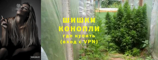 шишки Балахна